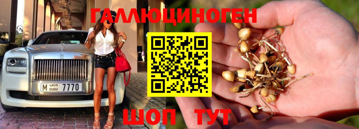 Галлюциногенные грибы Magic Shrooms  Галлюциногенные грибы Cubensis  Вход с VPN  Советская Гавань 